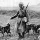 Imagen: ayuda canina en la guerra. AP Images